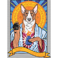 Animal Integration-DW 1081